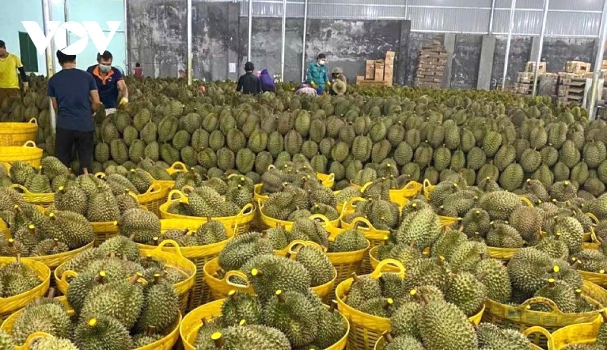 Opportunities ahead to boost exports amid global market fluctuations